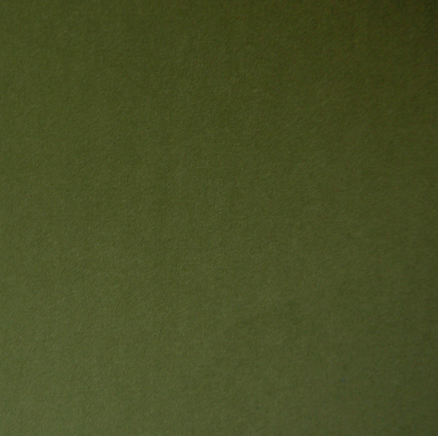 Passione Olive (EasyCare Velvet)